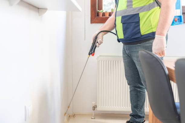 Best Residential Pest Control  in Bellerose Terrace, NY